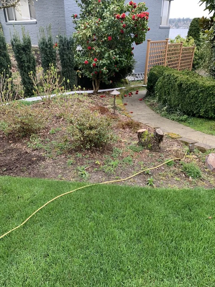 Custom yard cleanup service in Everett, WA - FM Landscaping