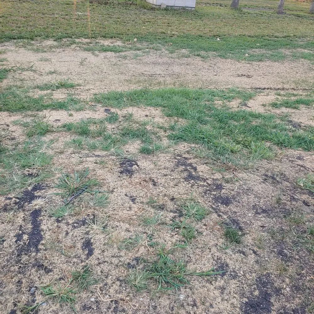 Custom landscape design in Fargo, ND by FM Landscaping