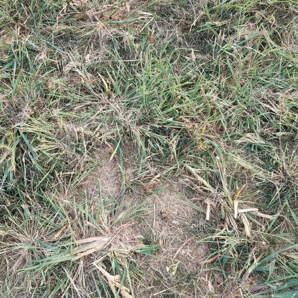 Affordable landscape installation in Fargo, ND by FM Landscaping