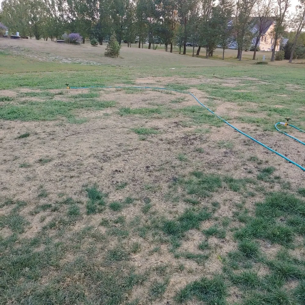 Local residential landscaping experts serving Fargo, ND - FM Landscaping