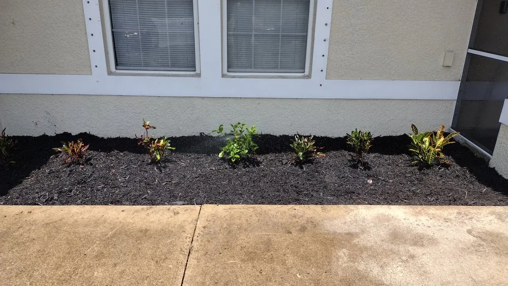 Trusted lawn mowing service experts serving North Fort Myers, FL - FM Landscaping