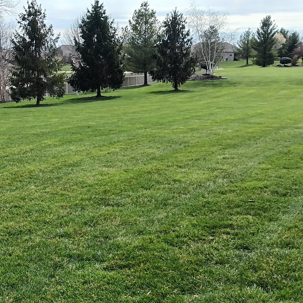 Affordable landscape installation for outdoor upgrades in Troy, MO by FM Lawn & Leaf