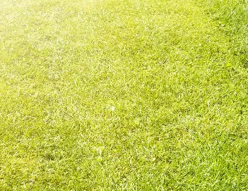 Reliable residential landscaping experts serving Troy, MO - FM Lawn & Leaf