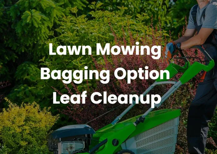 Custom landscaping services near you in Troy, MO by FM Lawn & Leaf