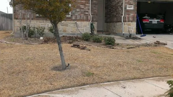 Professional lawn care service with custom design across Lubbock, TX - FM Lawncare