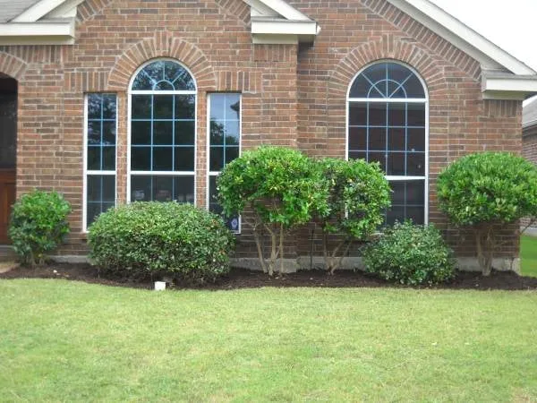 Trusted garden landscaping experts serving Lubbock, TX - FM Lawncare