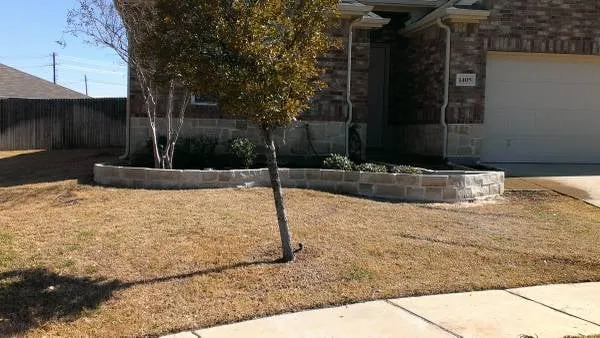 Local yard maintenance in Lubbock, TX - FM Lawncare