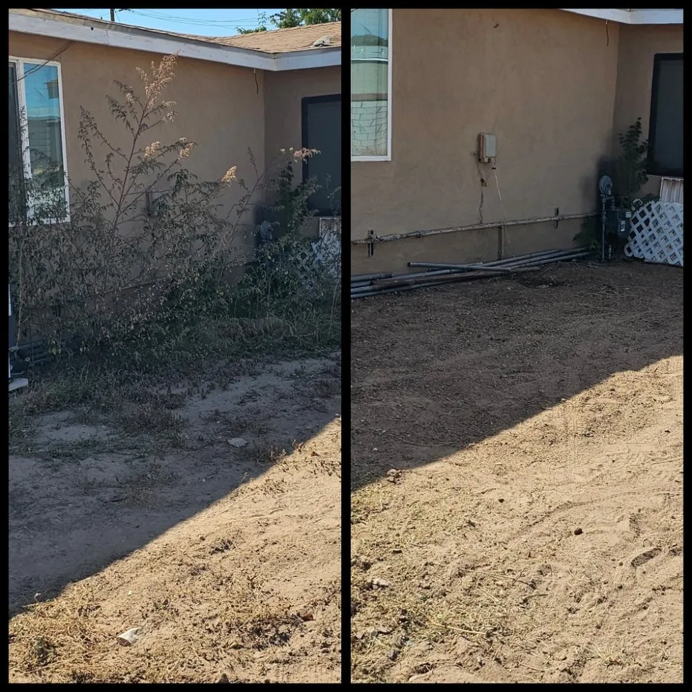 Affordable yard cleanup service near you in Albuquerque, NM by F&M Moverscape