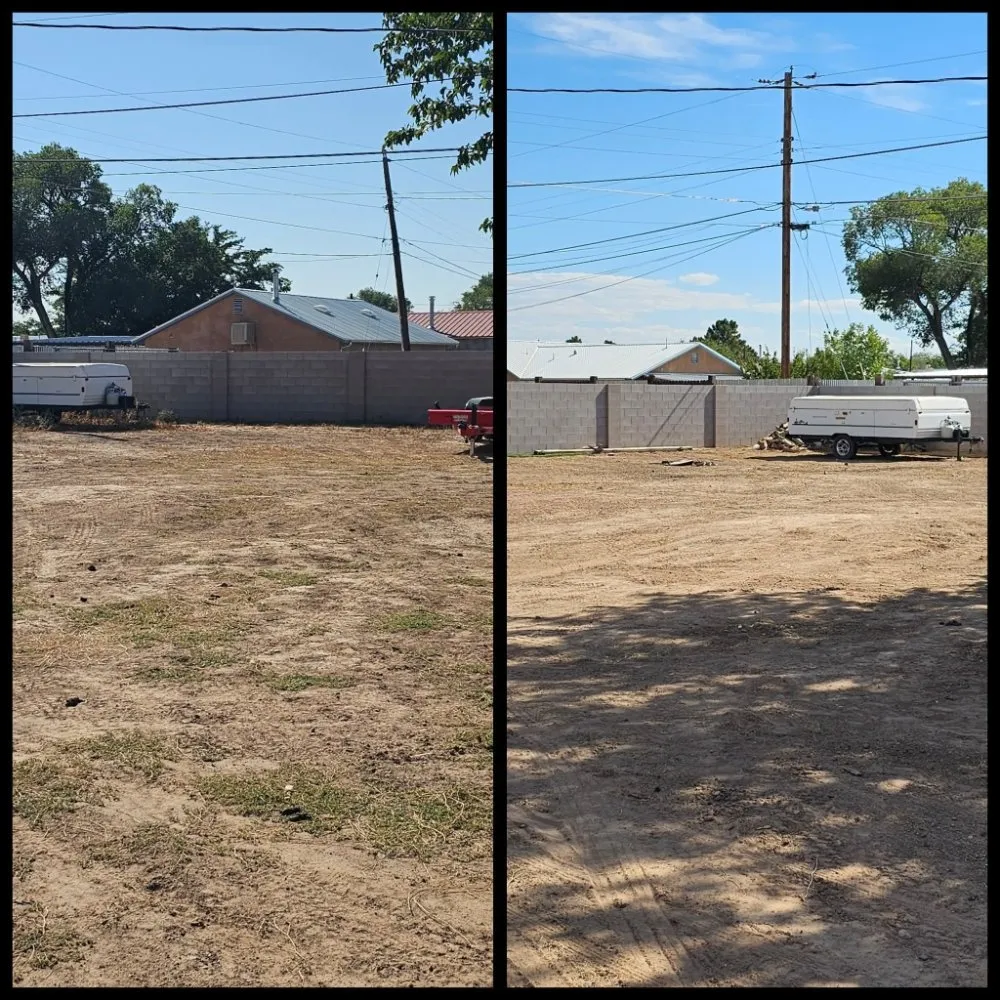 Expert lawn care service for beautiful yards across Albuquerque, NM - F&M Moverscape