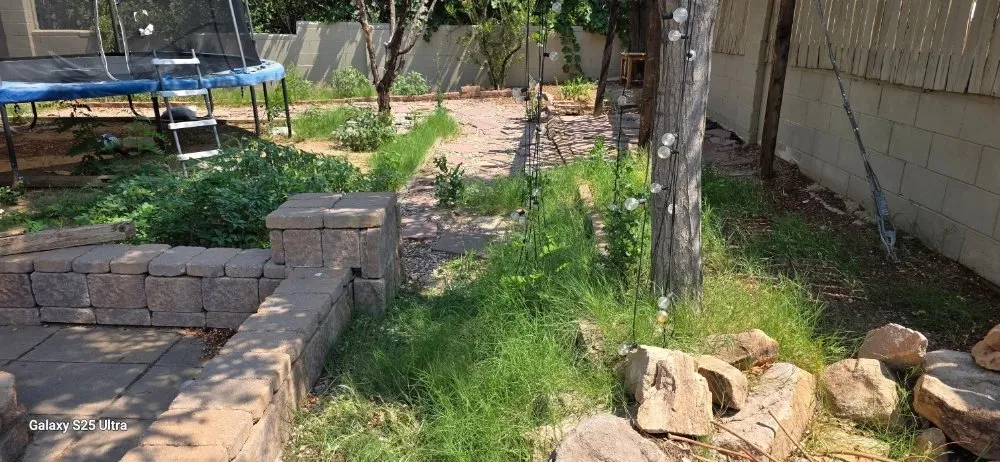 Affordable lawn mowing service in Albuquerque, NM - F&M Moverscape