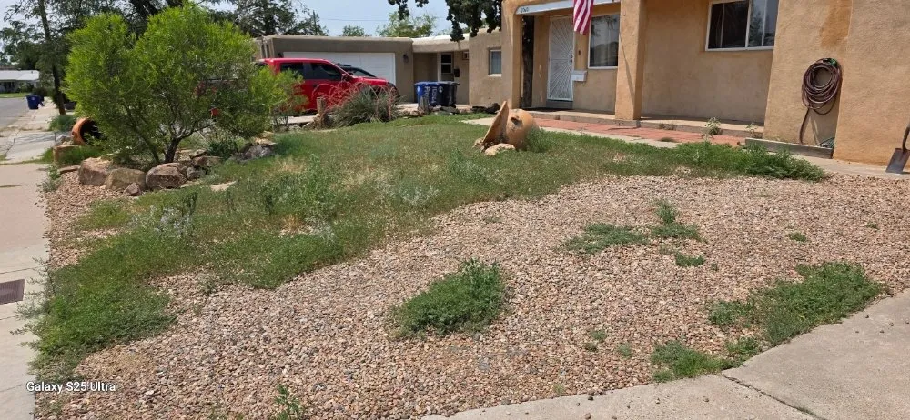 Local lawn mowing service experts serving Albuquerque, NM - F&M Moverscape