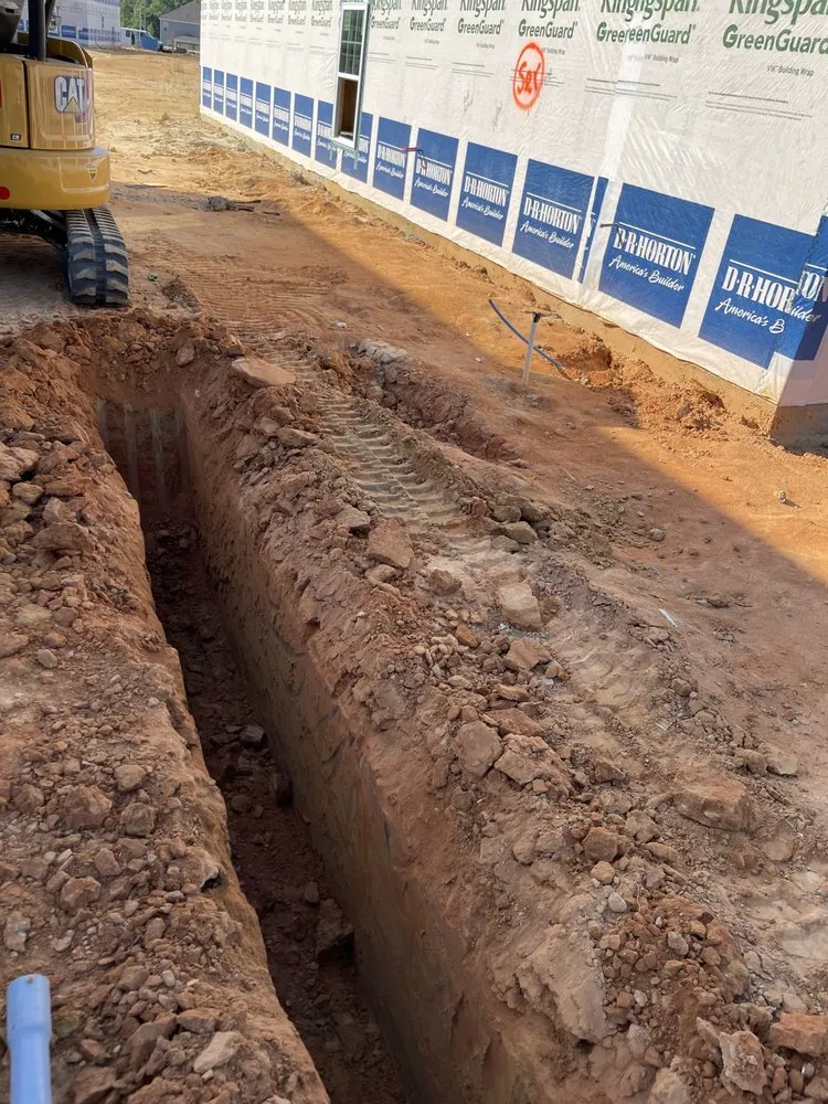 Local yard cleanup service in Gaston, SC by FM Outdoors