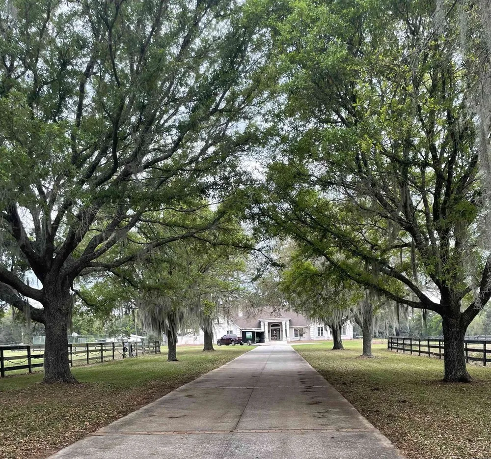 Local landscape design with custom design in Ocala, FL by FMB Lawn Care And Landscaping