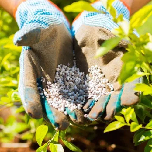 Reliable outdoor landscaping in Ocala, FL by FMB Lawn Care And Landscaping