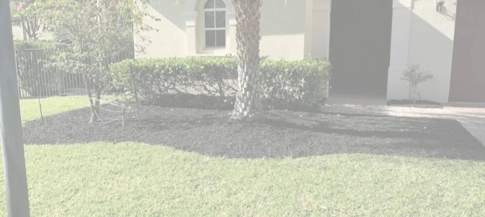Affordable residential landscaping in Ocala, FL by FMB Lawn Care And Landscaping