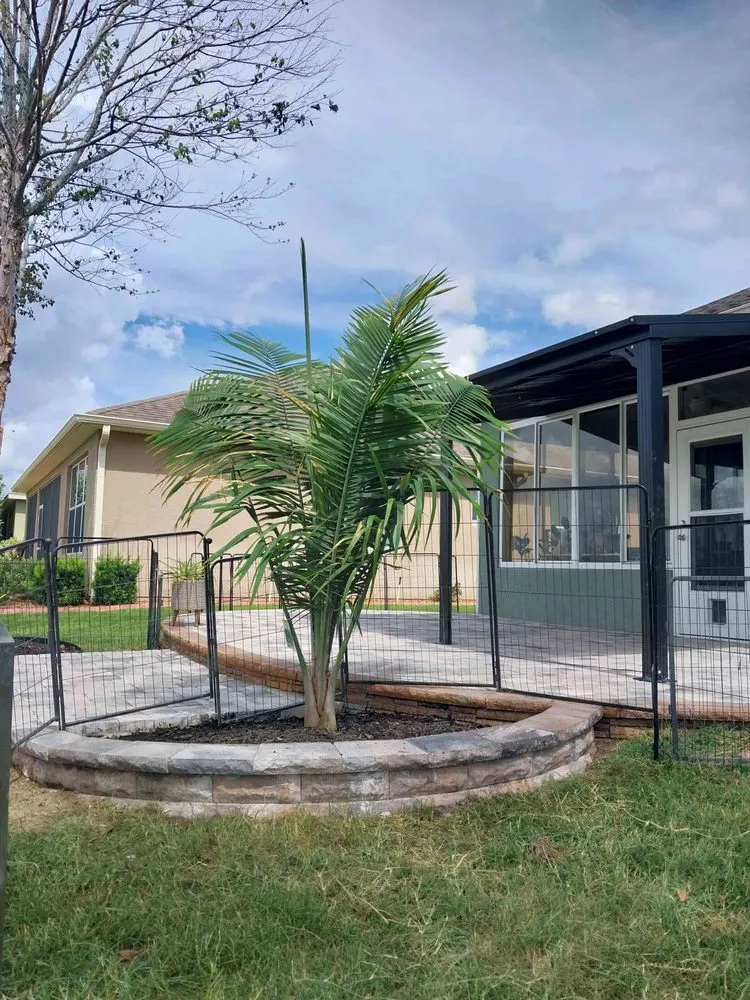 Trusted lawn mowing service experts serving Ocala, FL - FMB Lawn Care And Landscaping