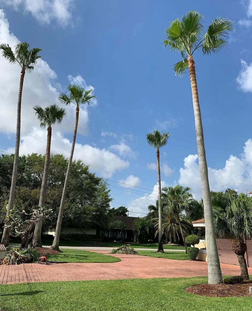 Reliable landscape installation in Miami Gardens, FL by FME Lawn Service