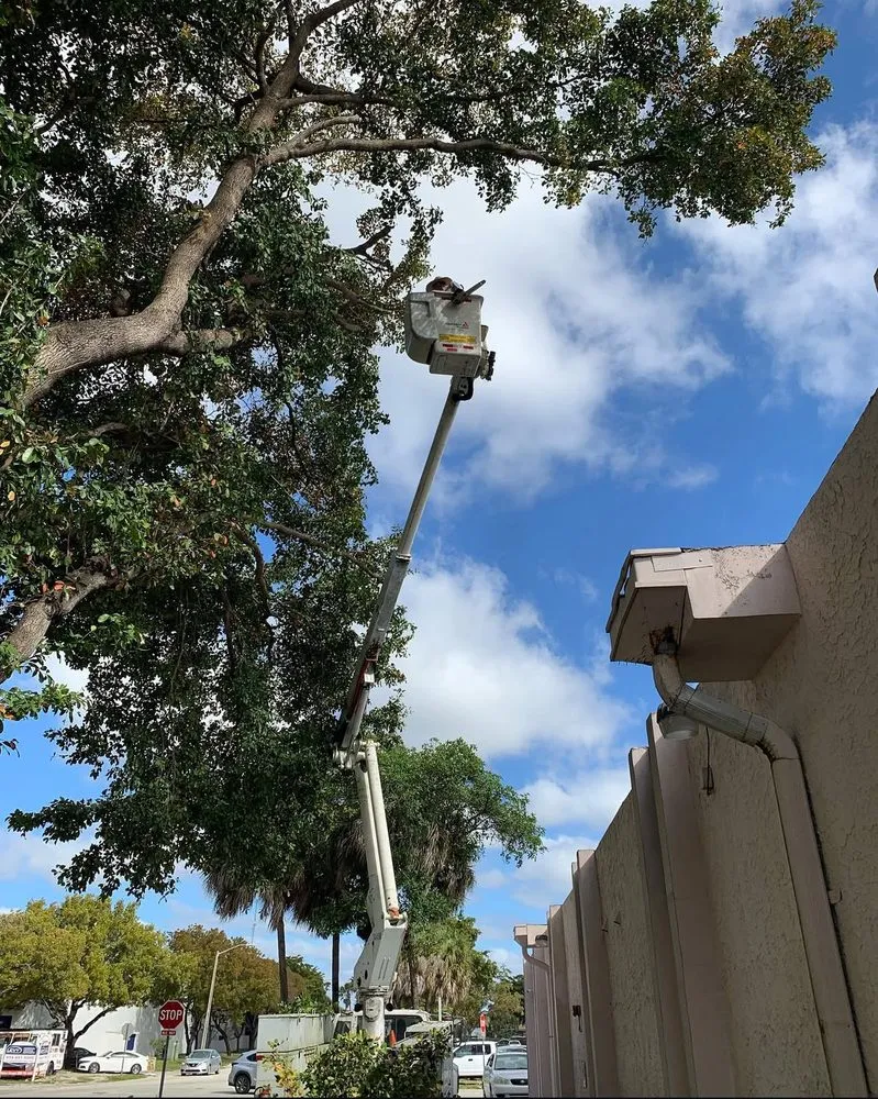 Expert landscape design in Miami Gardens, FL - FME Lawn Service