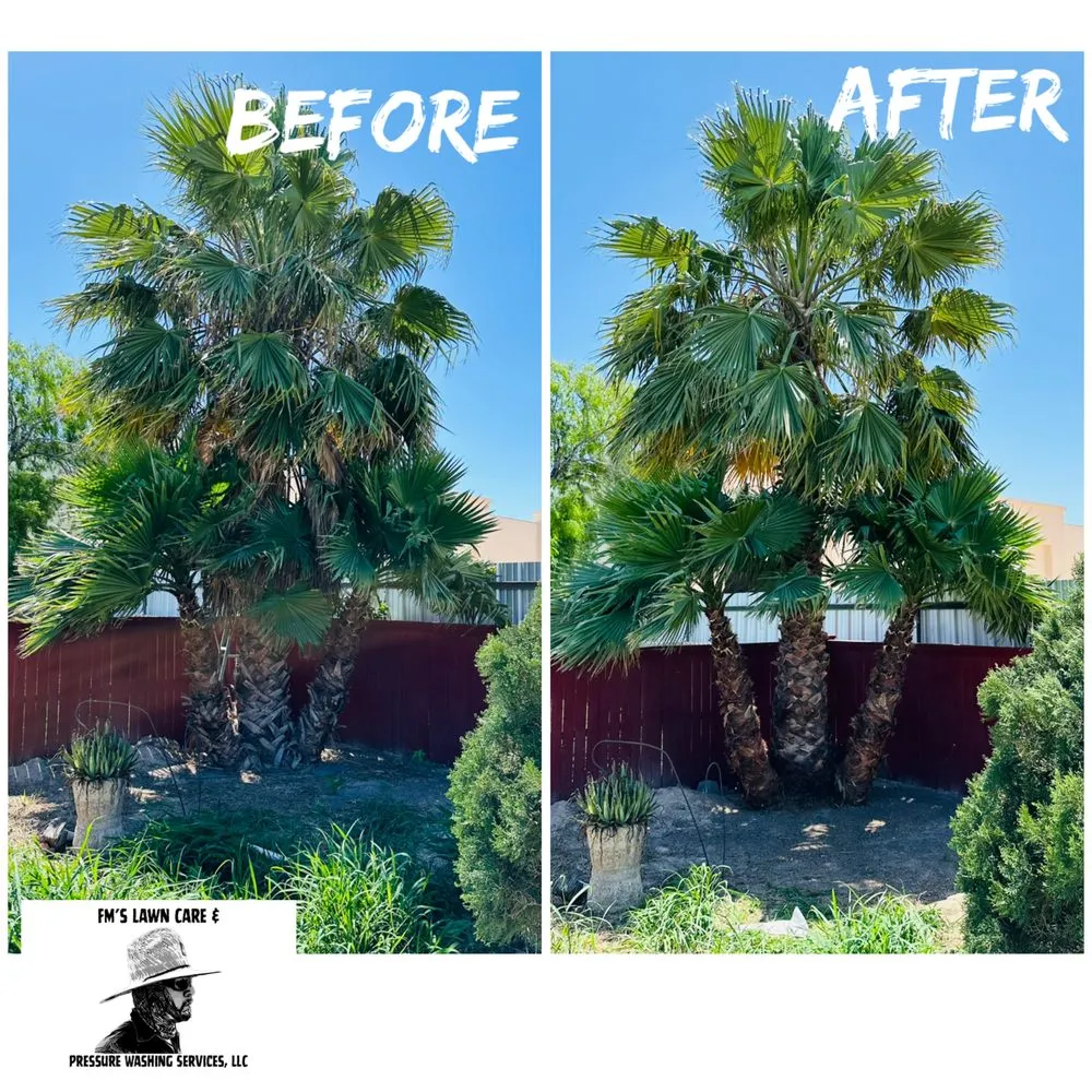 Affordable landscape design for residential properties across Mission, TX - FM’S Lawn Care & Pressure Washing Services