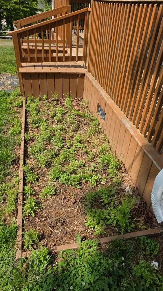 Reliable garden landscaping experts serving Sanford, NC - F&N Lawn Care Solutions