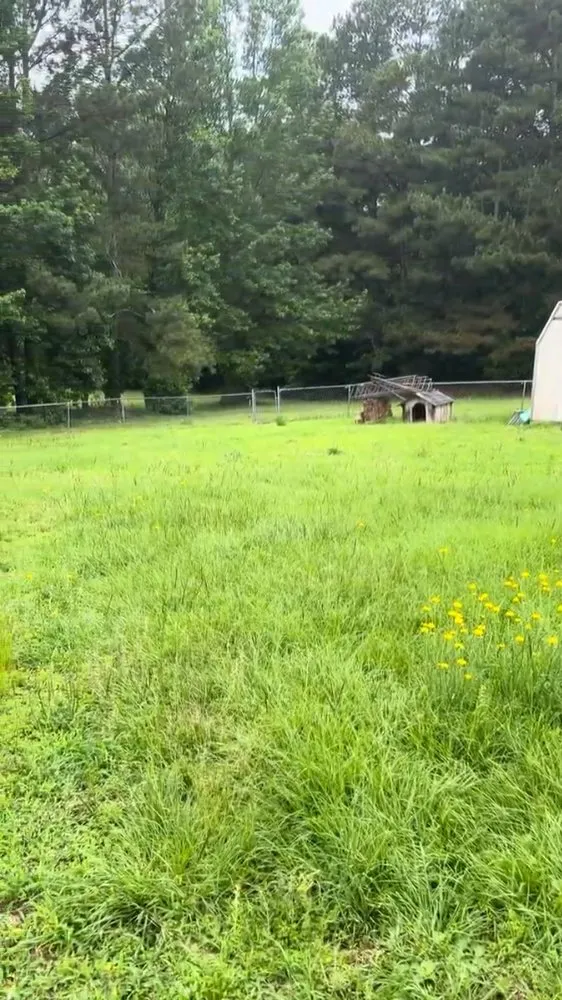 Professional outdoor landscaping for year-round maintenance across Sanford, NC - F&N Lawn Care Solutions