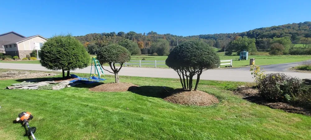 Professional landscape installation experts serving Marion Center, PA - FN Tree & Landscape Services