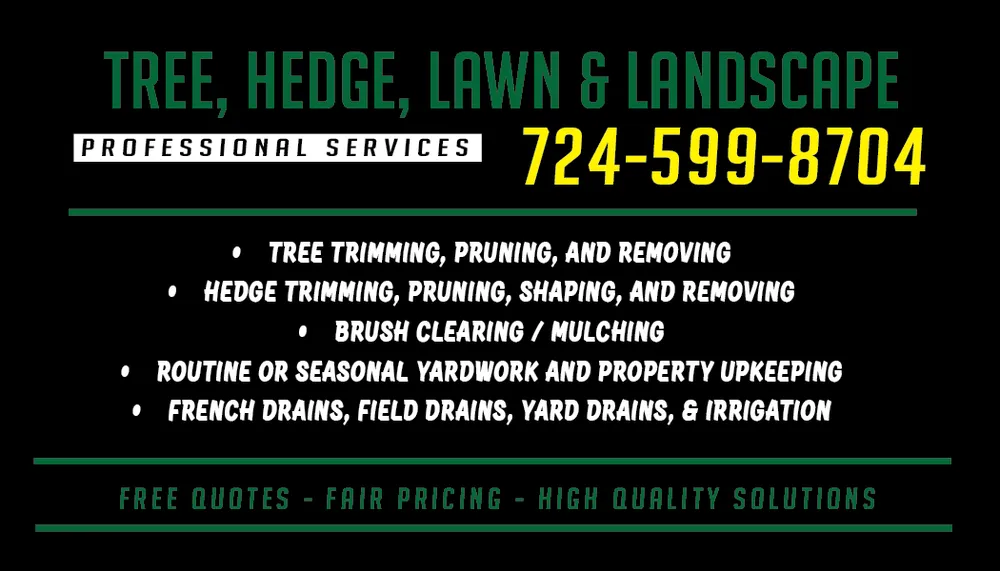 Expert yard maintenance with custom design in Marion Center, PA by FN Tree & Landscape Services