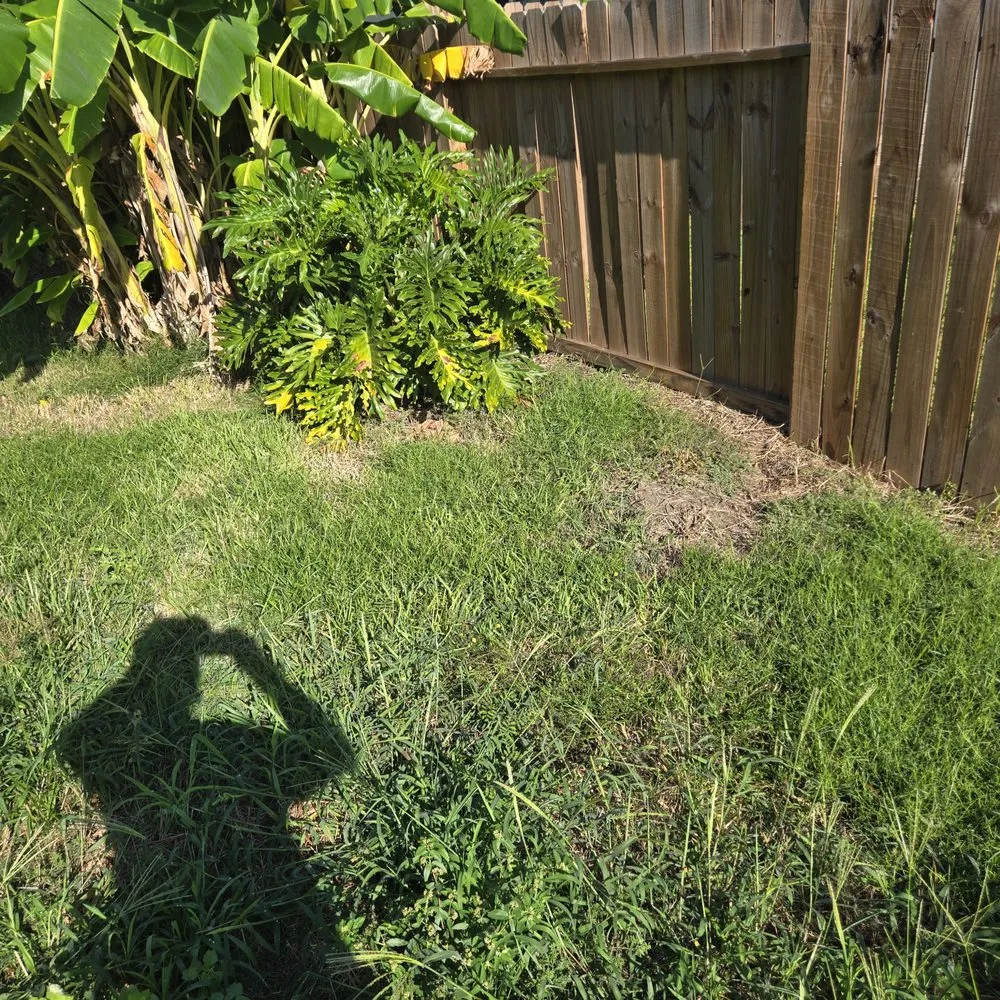 Expert garden landscaping experts serving Houston, TX - FNE Landscaping & Services