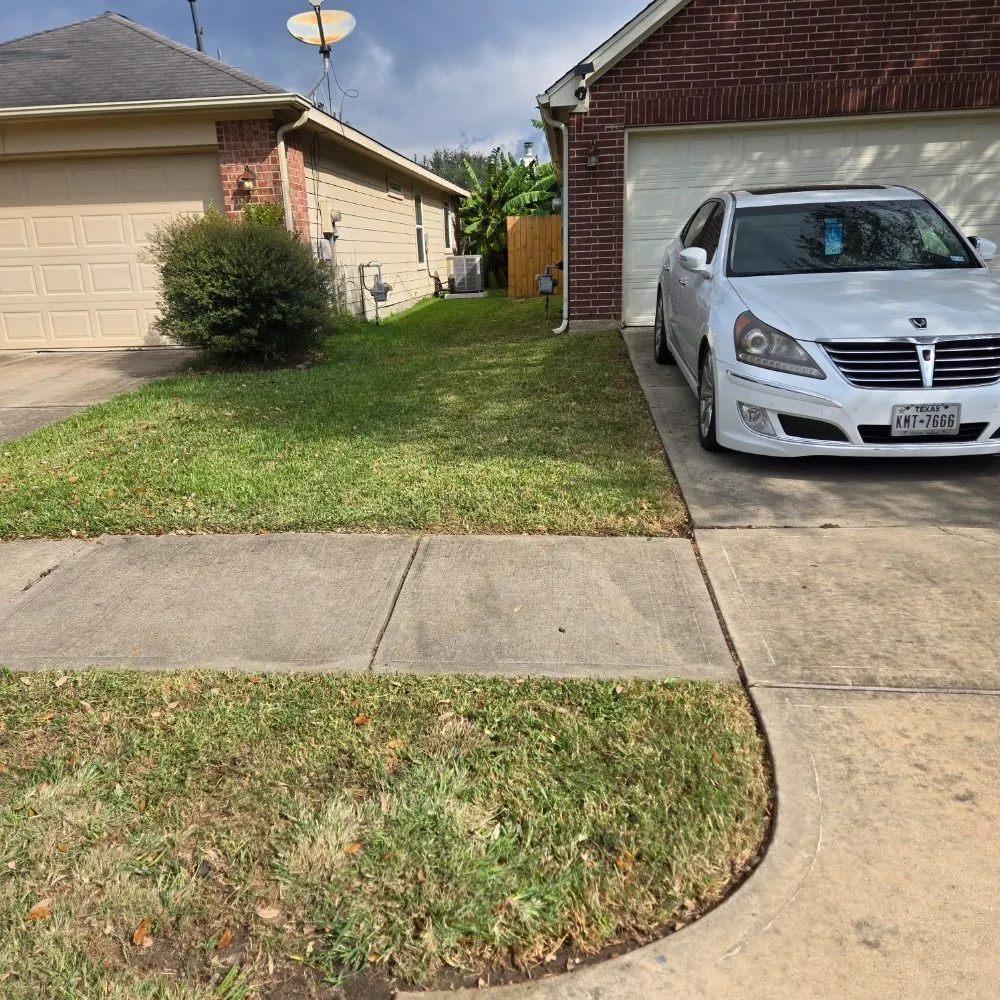 Reliable landscaping services for year-round maintenance across Houston, TX - FNE Landscaping & Services