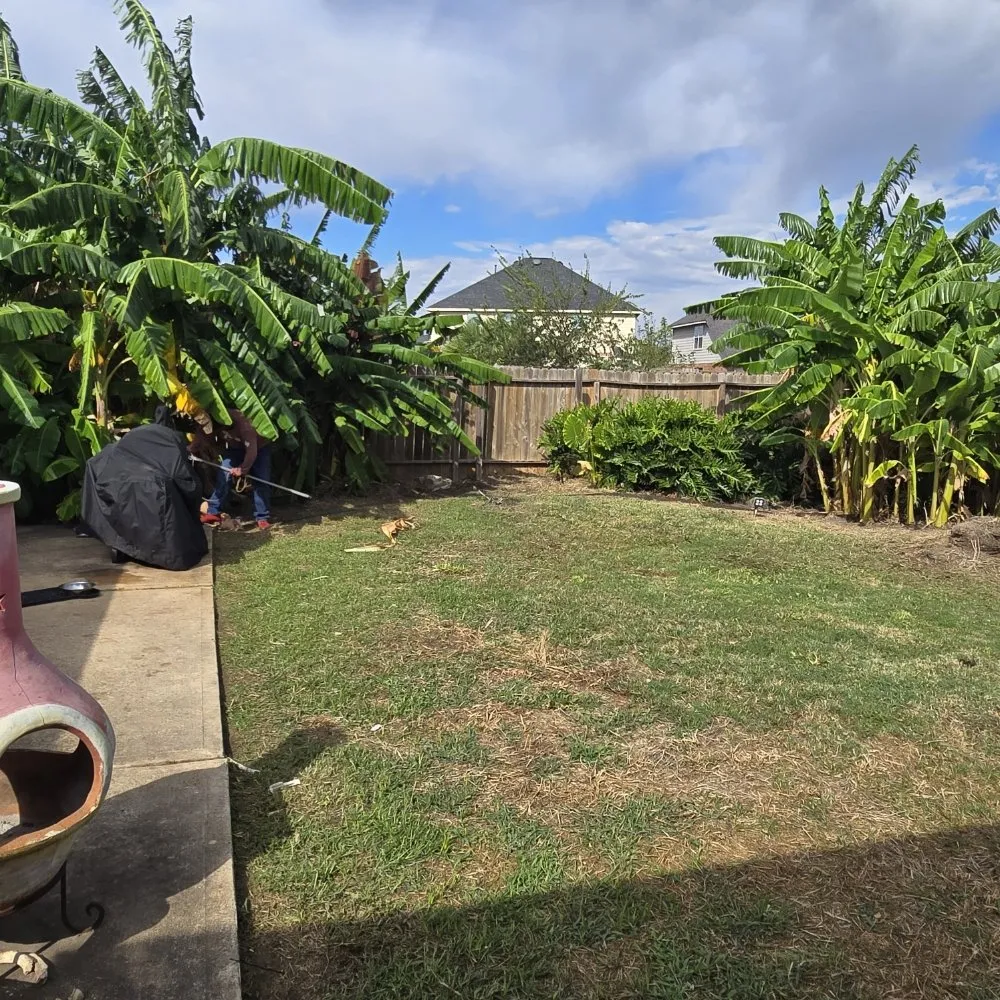 Reliable outdoor landscaping in Houston, TX by FNE Landscaping & Services