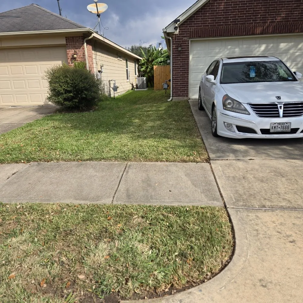 Local landscape design in Houston, TX - FNE Landscaping & Services