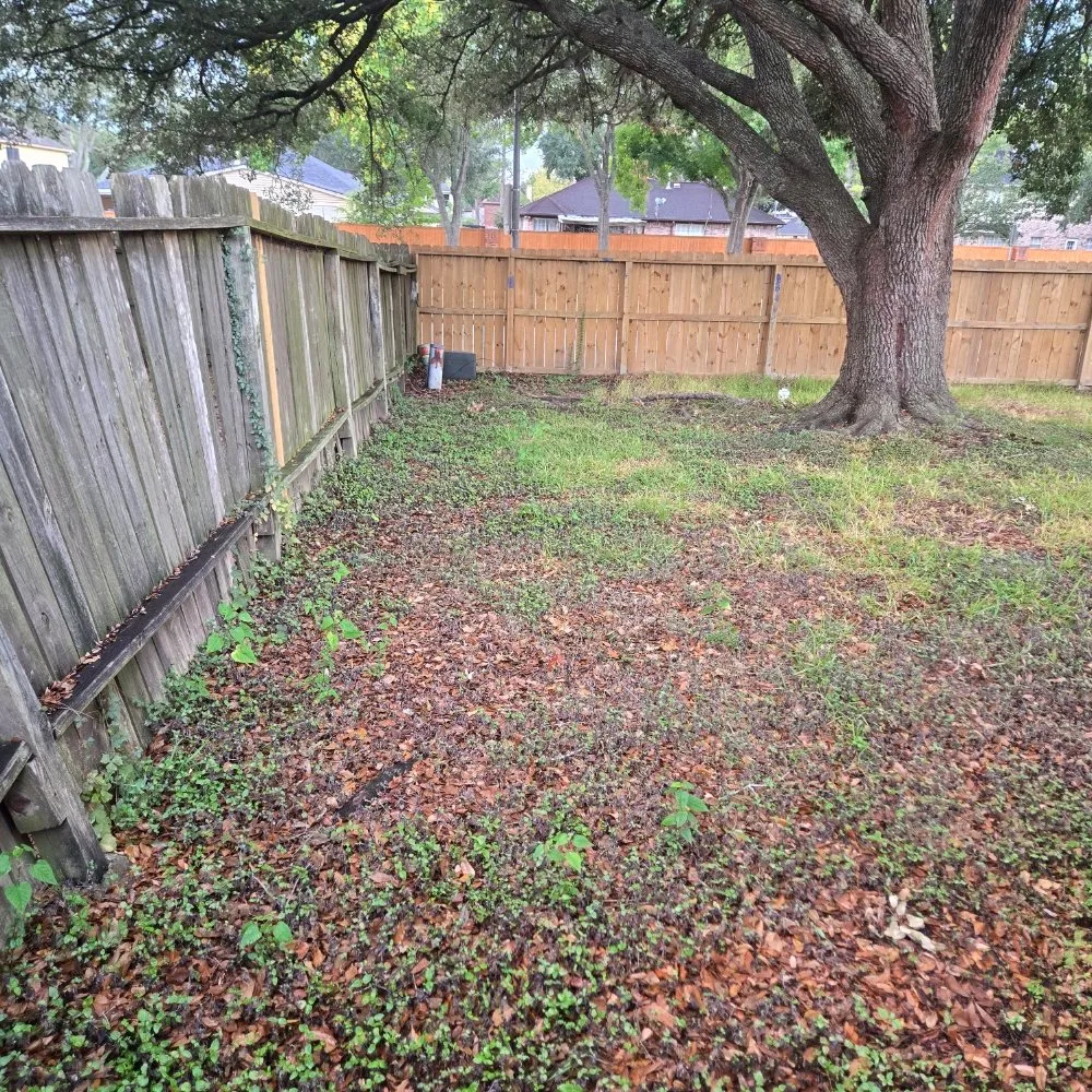 Trusted lawn mowing service experts serving Houston, TX - FNE Landscaping & Services
