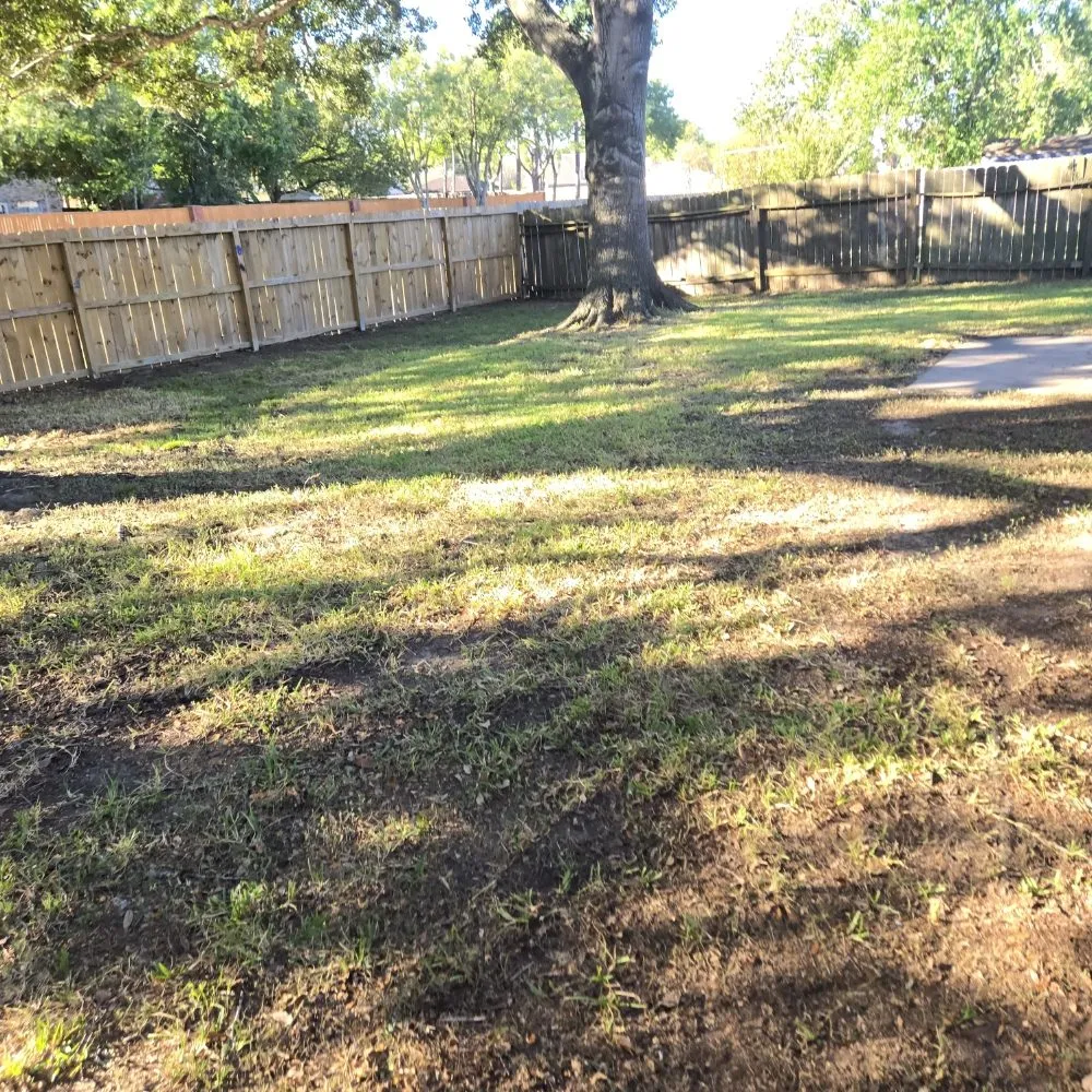 Expert yard maintenance for outdoor upgrades across Houston, TX - FNE Landscaping & Services