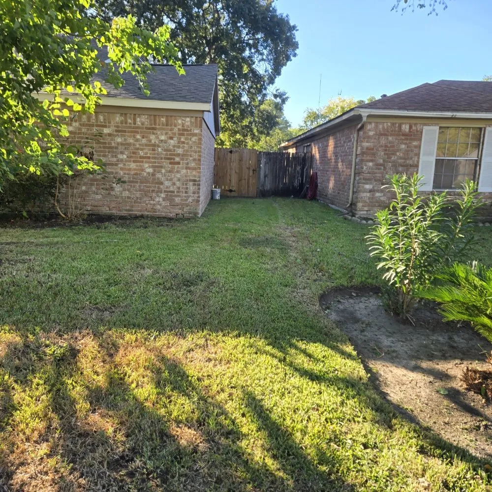 Affordable yard cleanup service near you in Houston, TX by FNE Landscaping & Services