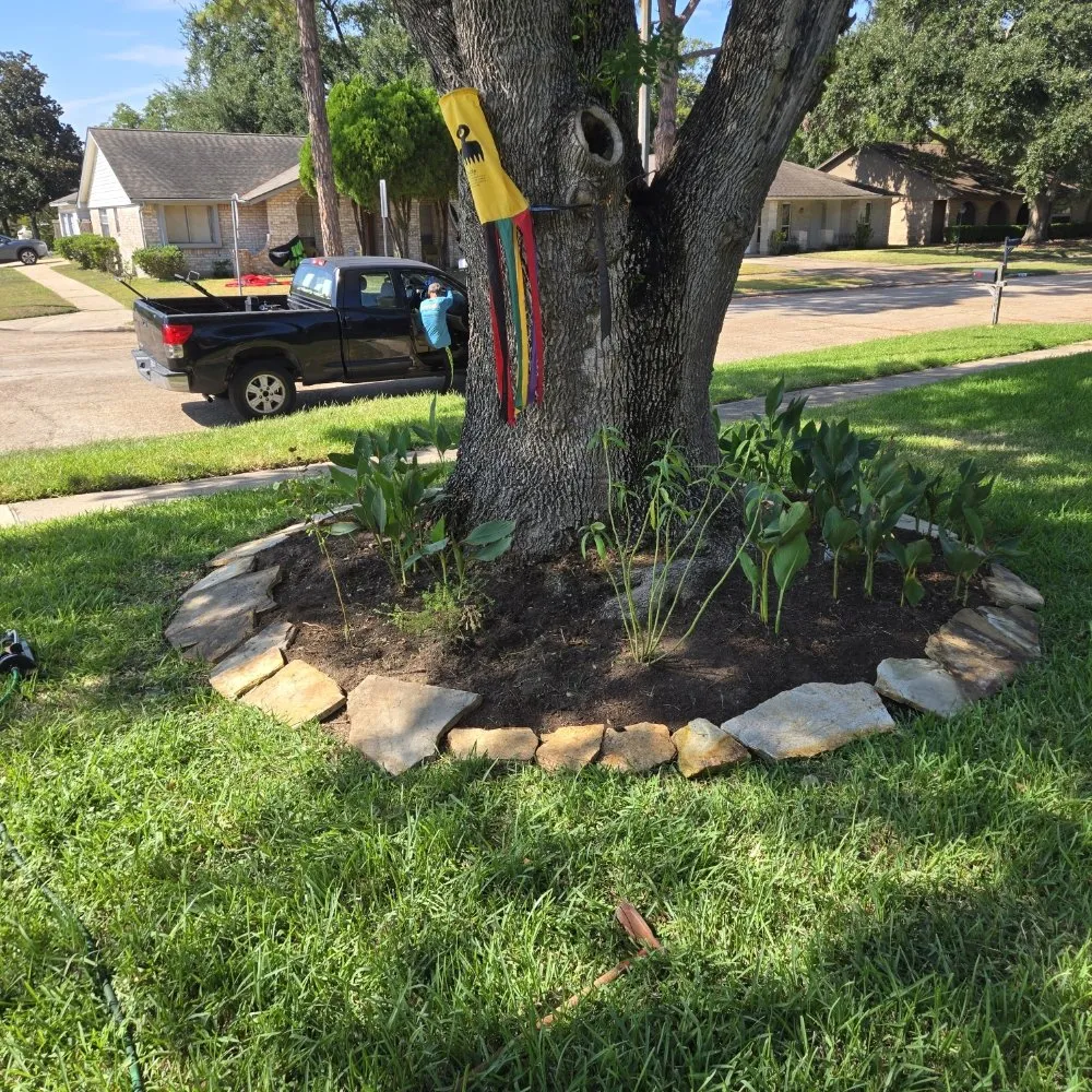 Trusted landscape installation experts serving Houston, TX - FNE Landscaping & Services