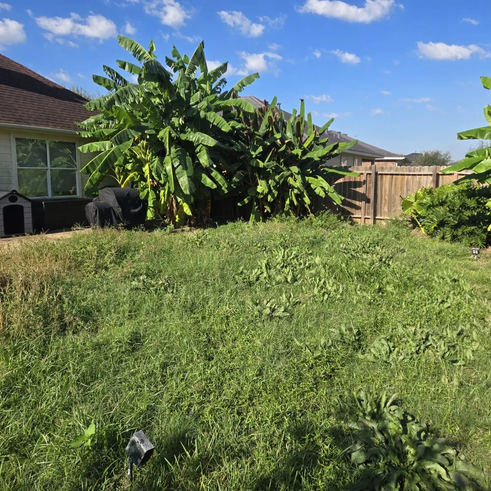 Top-rated yard maintenance with custom design in Houston, TX by FNE Landscaping & Services