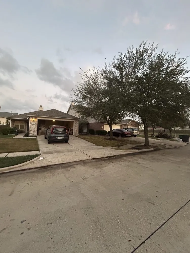 Professional landscape design with custom design in Houston, TX by FNE Landscaping & Services