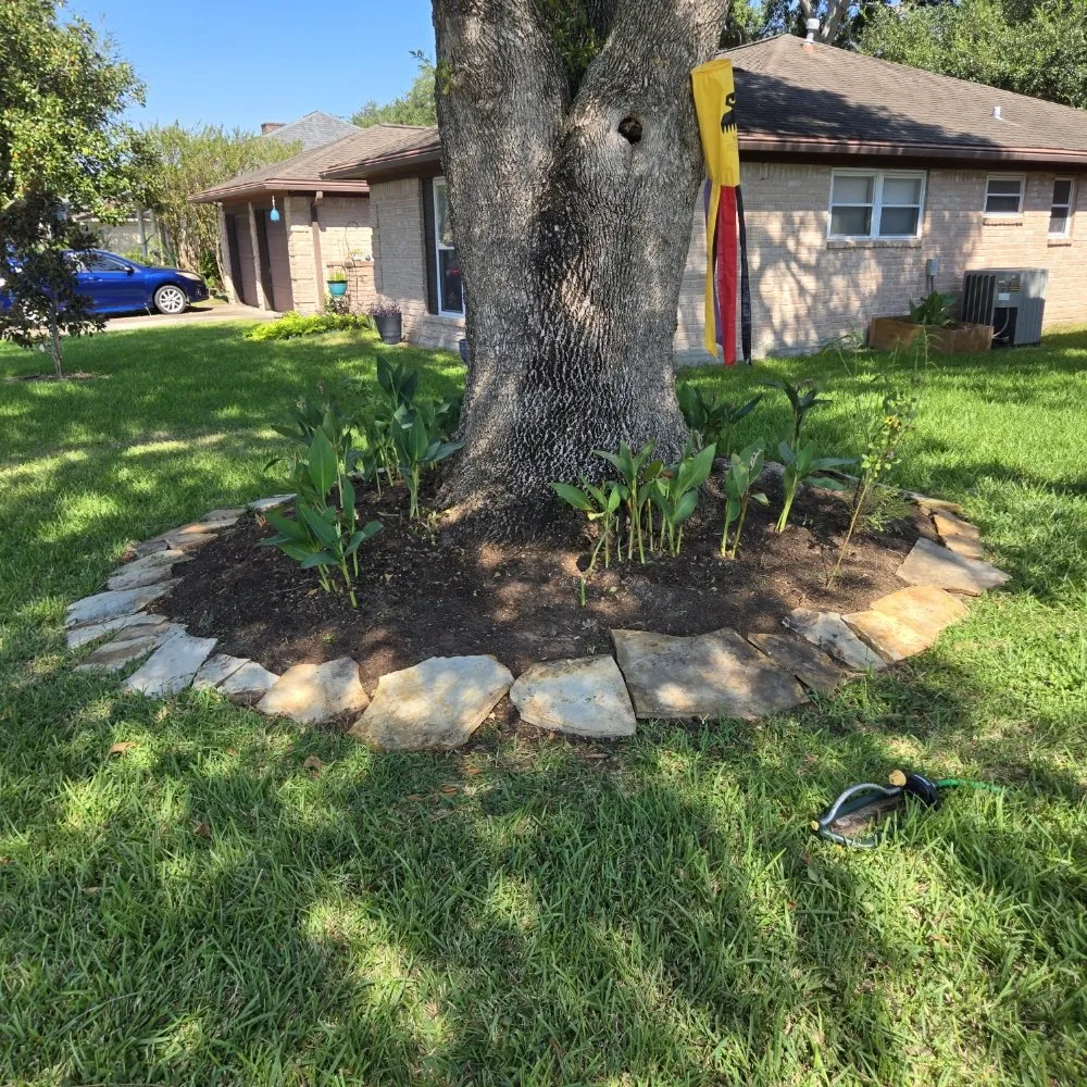 Local landscape installation in Houston, TX by FNE Landscaping & Services