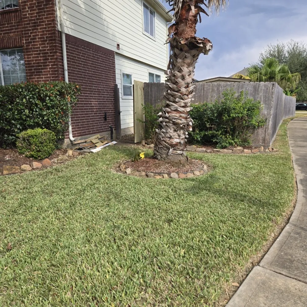 Affordable outdoor landscaping in Houston, TX by FNE Landscaping & Services