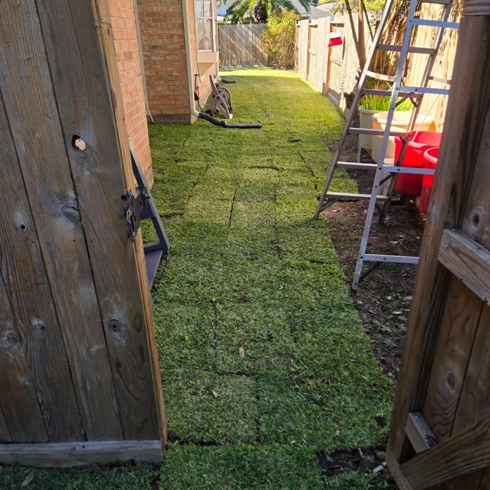 Expert garden landscaping in Houston, TX by FNE Landscaping & Services