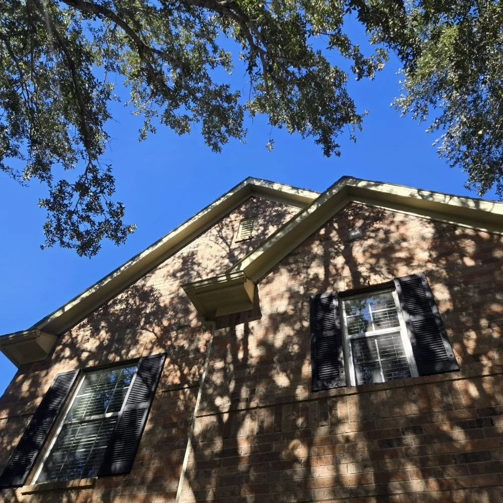 Affordable lawn mowing service experts serving Houston, TX - FNE Landscaping & Services