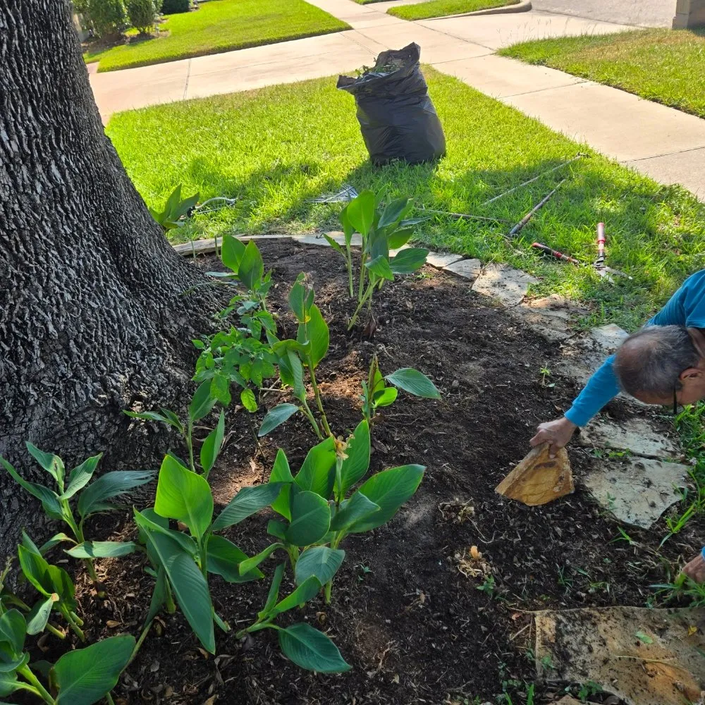 Reliable landscape installation with custom design in Houston, TX by FNE Landscaping & Services