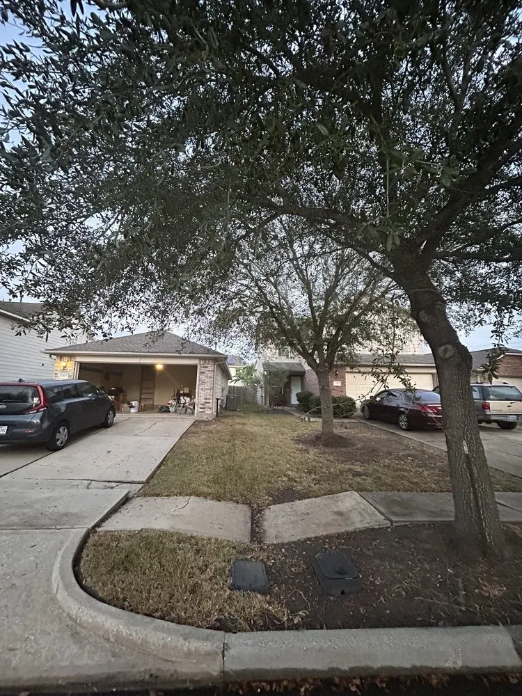 Expert garden landscaping in Houston, TX by FNE Landscaping & Services