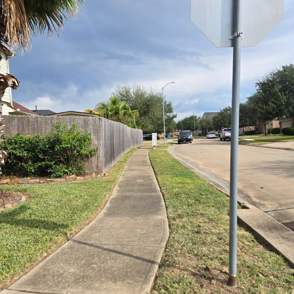 Top-rated outdoor landscaping in Houston, TX - FNE Landscaping & Services