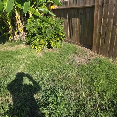 FNE Landscaping & Services Logo