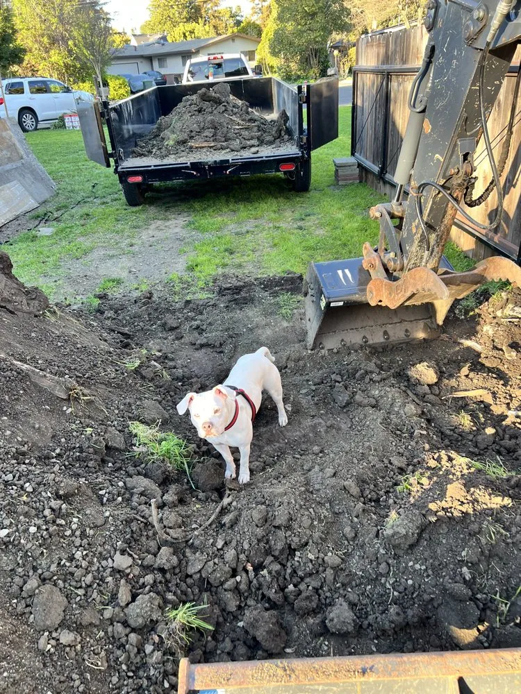 Top-rated yard maintenance in Laytonville, CA by FNG Excavating