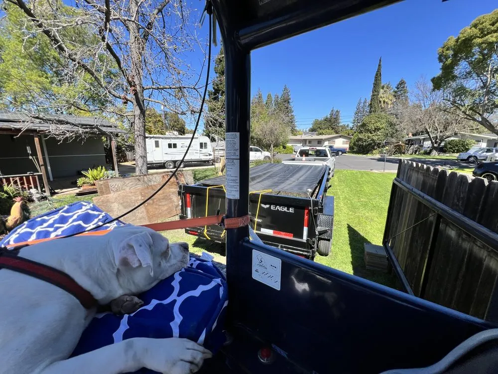 Expert landscape installation in Laytonville, CA - FNG Excavating