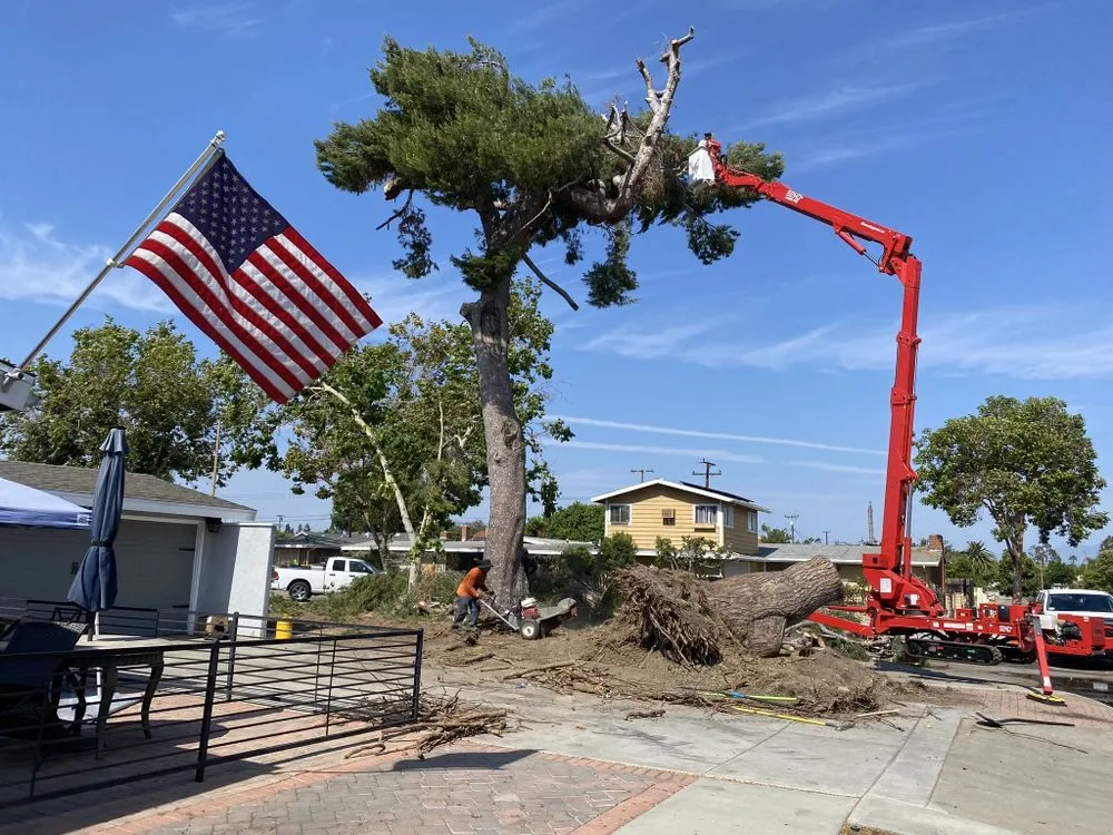 Affordable yard maintenance in Costa Mesa, CA by Fnl Landscaping