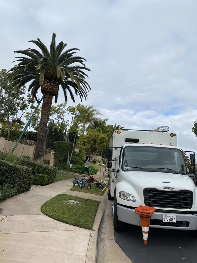 Local residential landscaping in Costa Mesa, CA by Fnl Landscaping