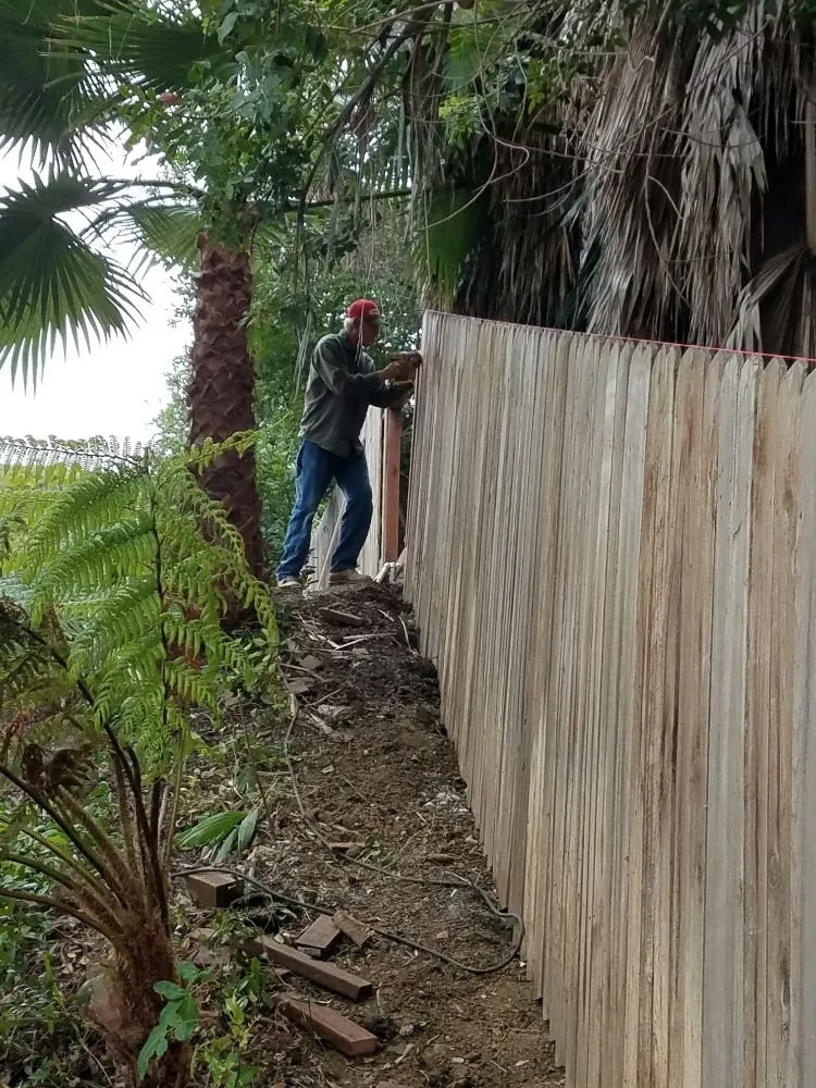 Reliable yard cleanup service in Costa Mesa, CA - Fnl Landscaping